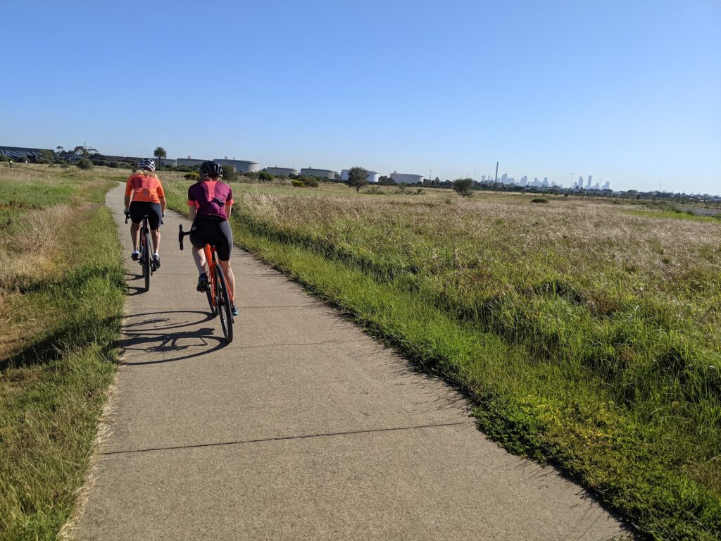 Altona Wetlands with Melbourne in the distance