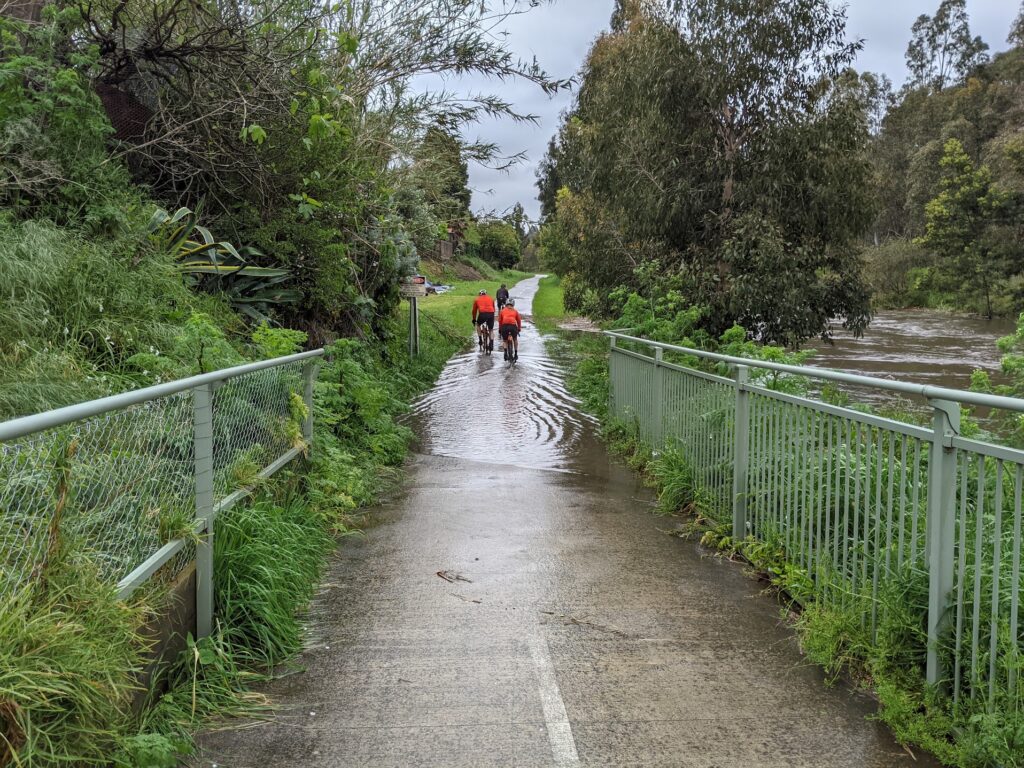 Darebin Creek in Flood
