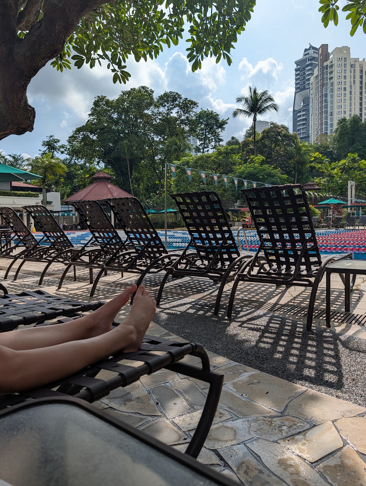 Poolside at Singapore club during 13-hour Changi layover, sun loungers and Singapore skyline, April 2026