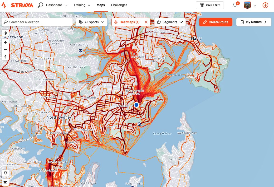 Strava heatmap showing dense cycling and paddling routes around Sydney Harbour