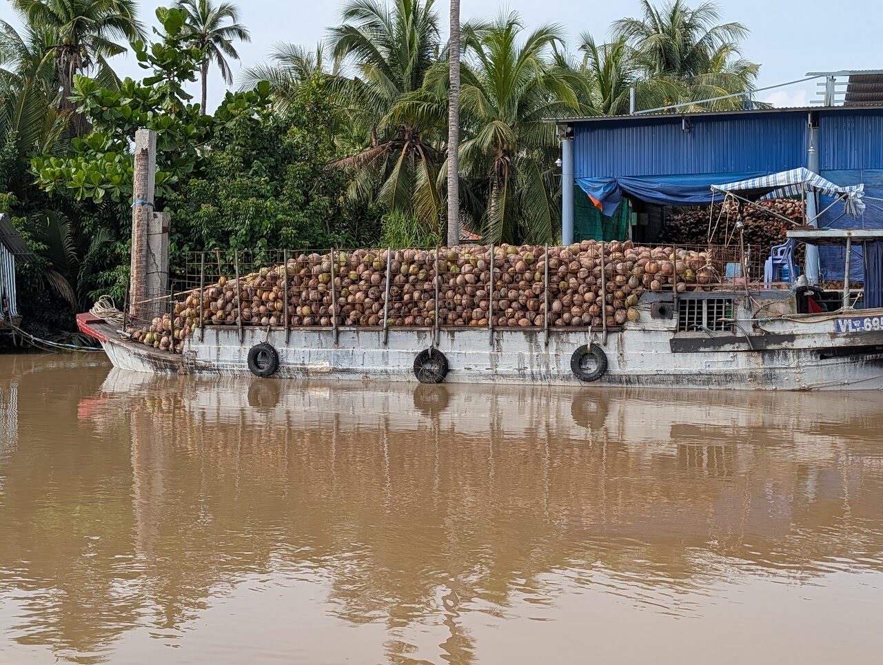 Barge loaded with coconuts moored at a factory on a Mekong Delta canal