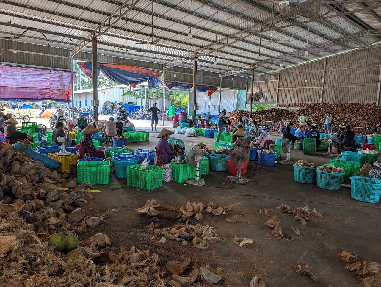 Workers hand-processing coconuts at a Mekong Delta coconut factory