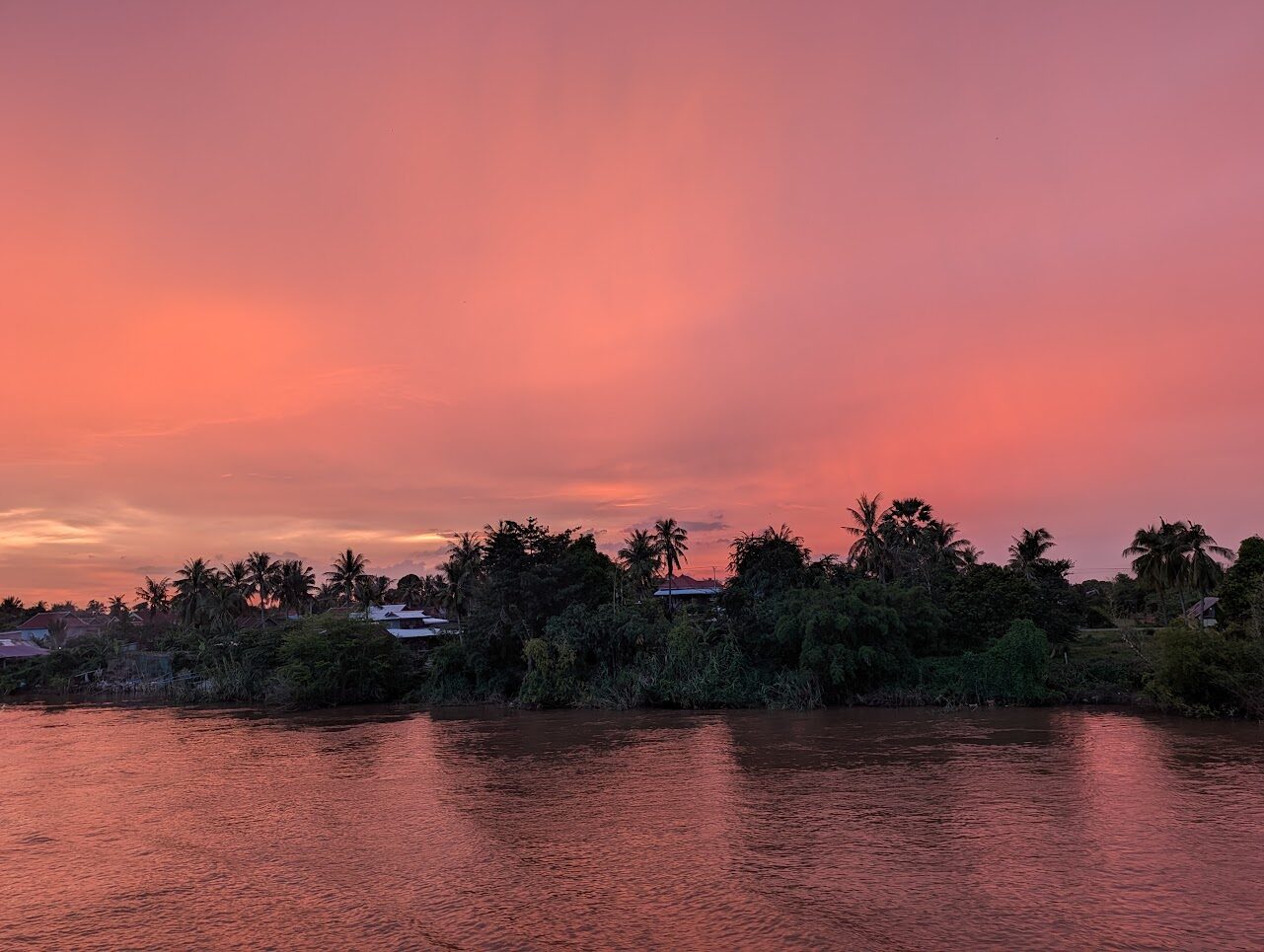 Pink sunset over palm trees on the Mekong riverbank seen from La Marguerite